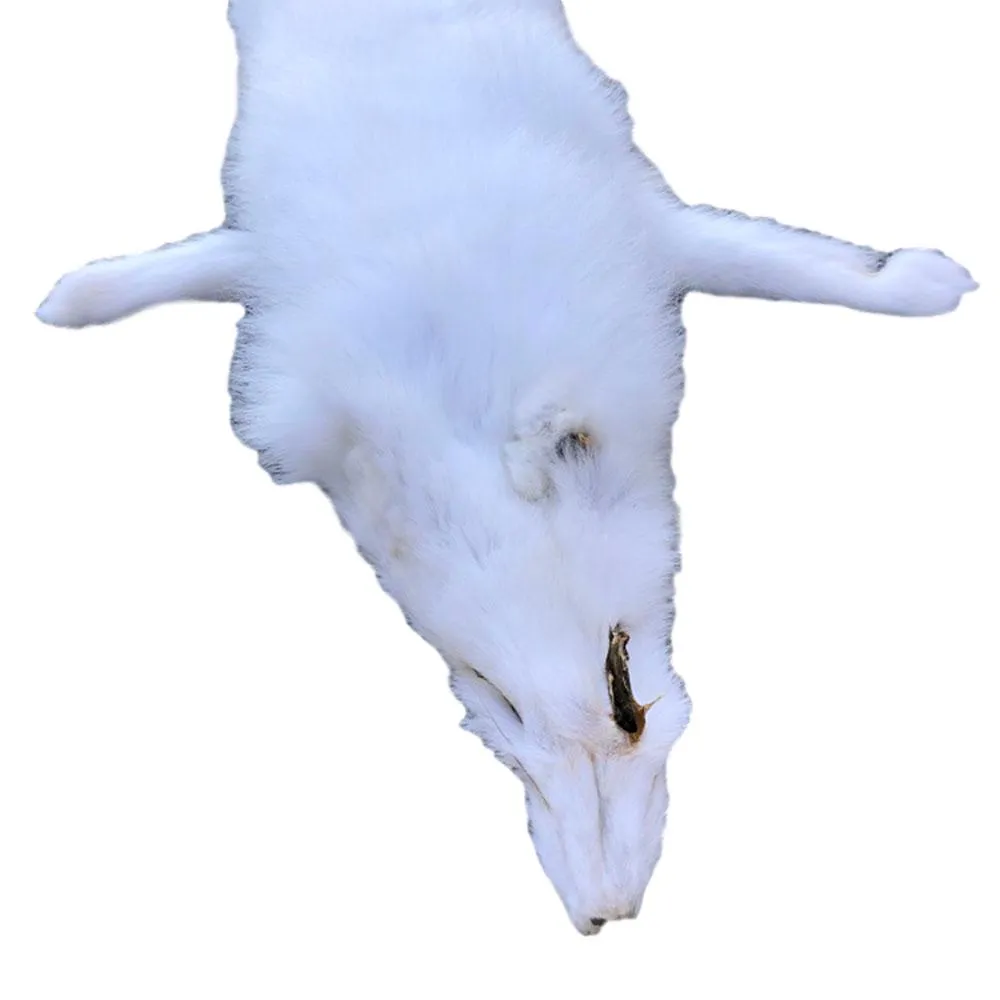 Beautifully Tanned Artic Fox Pelt - Pure White Fur Hide