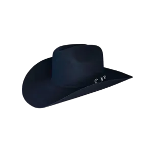 Stetson Hats 6x Skyline Black Fur Felt Hat